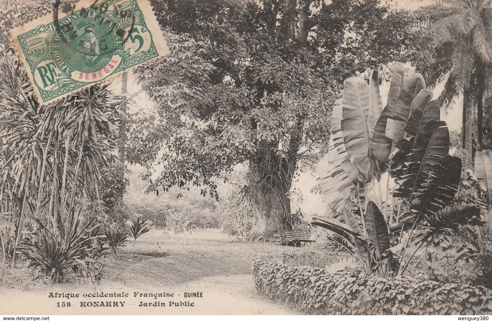 KONAKRY   GUINEE FRANCAISE    Jardin Public   PLAN 1907 PAS COURANT - Guinée Française