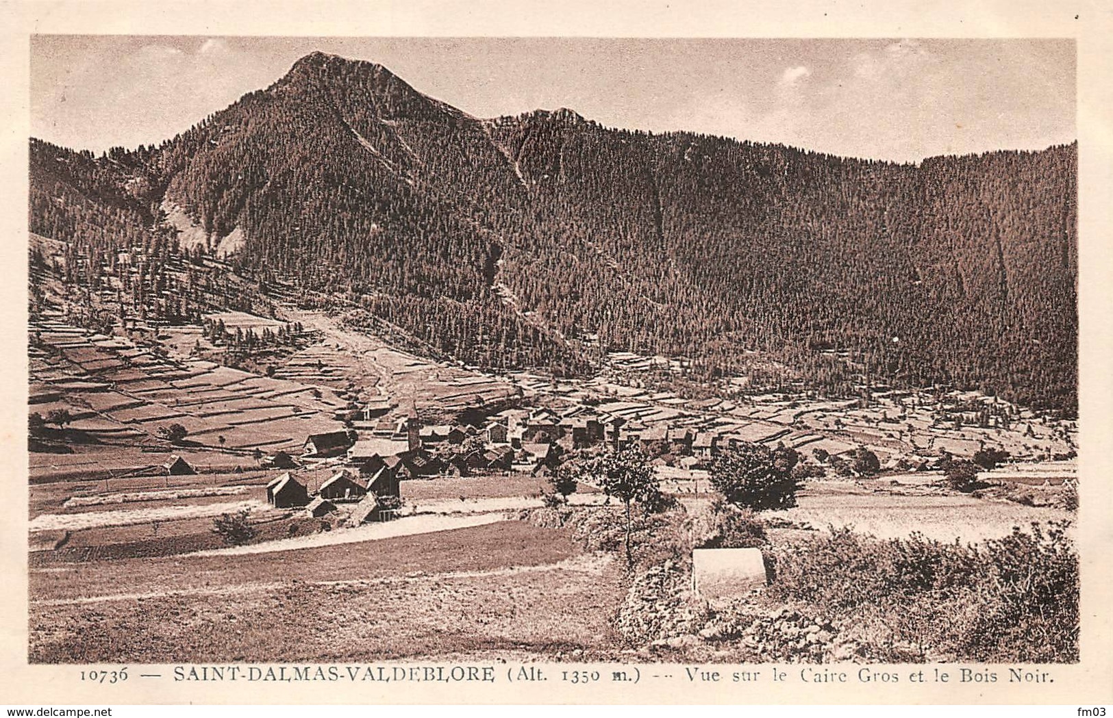 Saint Dalmas Valdeblore Canton St Sauveur De Tinée - Autres & Non Classés