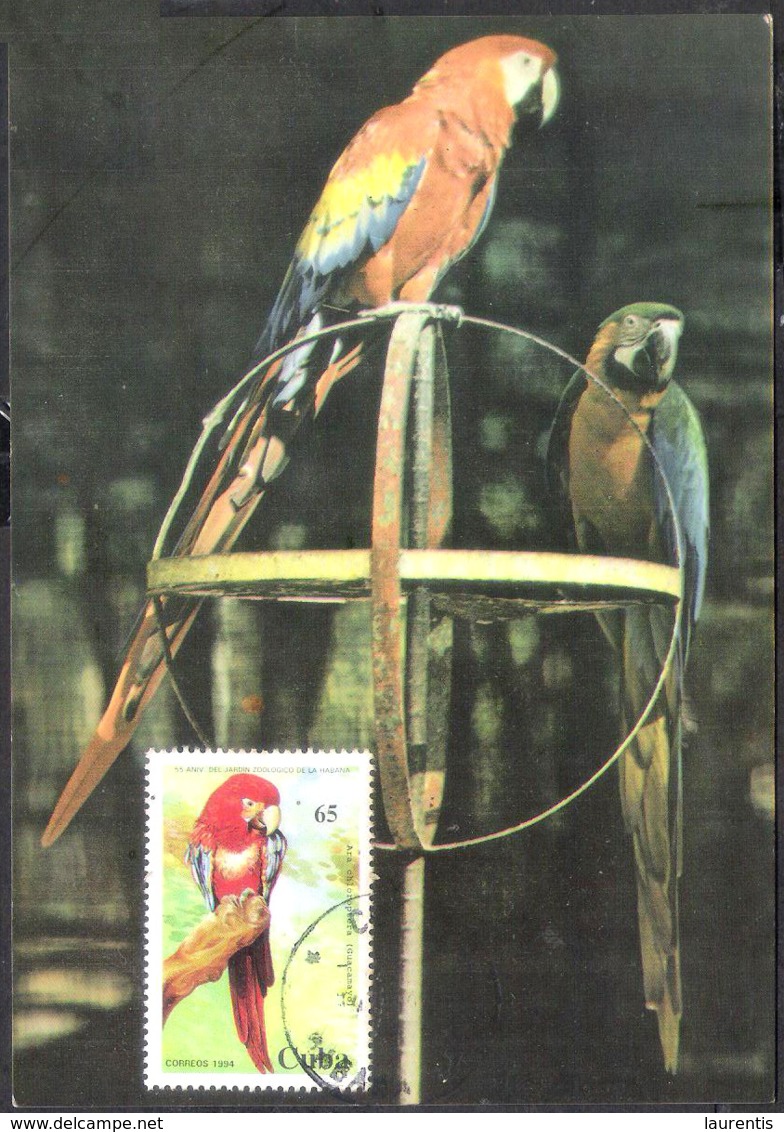 2864  Parrots - Perroquets - Maximum Card - Cb . 2,75 - Parrots