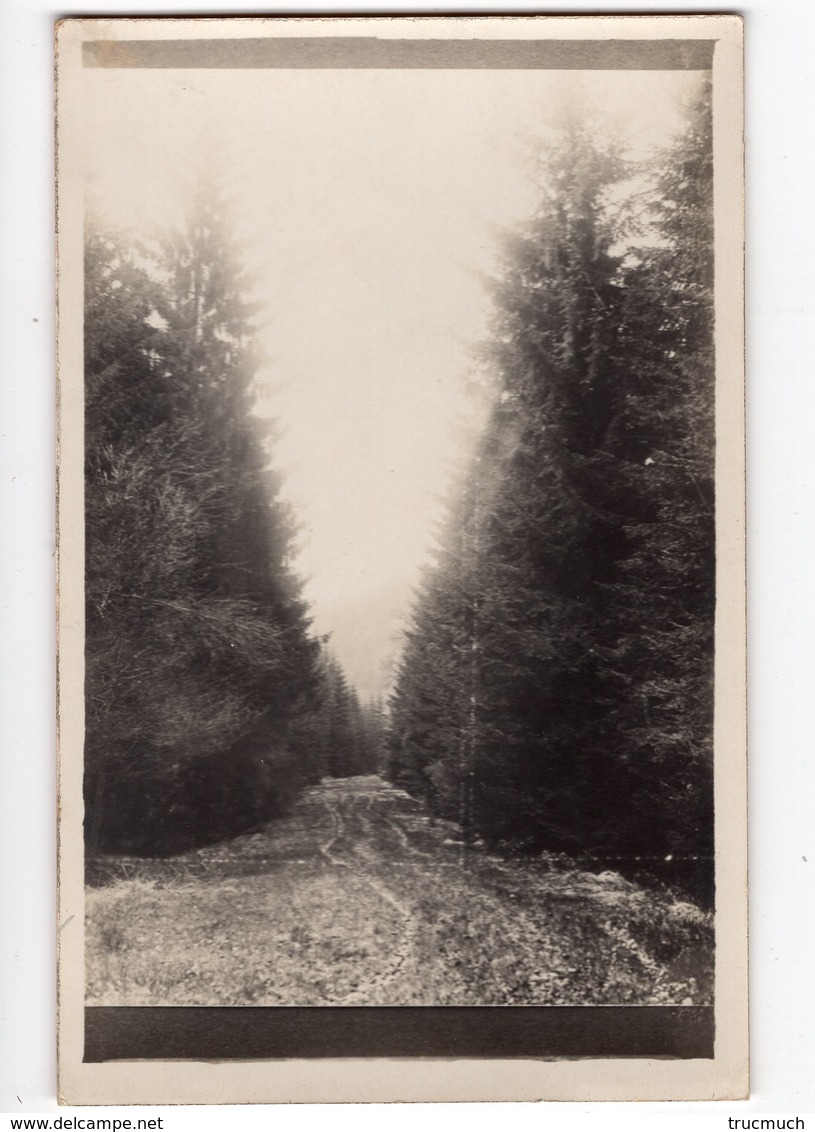 22 - EUPEN - RAEREN - BAELEN - LIMBOURG - JALHAY -  Dans La Forêt D'HERTOGENWALD  *carte -photo* - Eupen