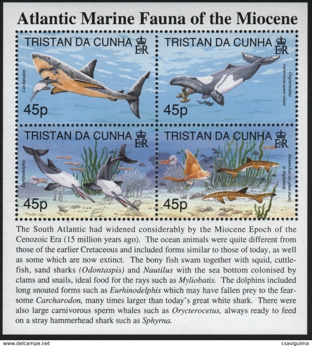 Tristan Da Cunha - 1998 - Atlantic Marine Fauna Of Miocene - Yv 607/10 - Preistorici