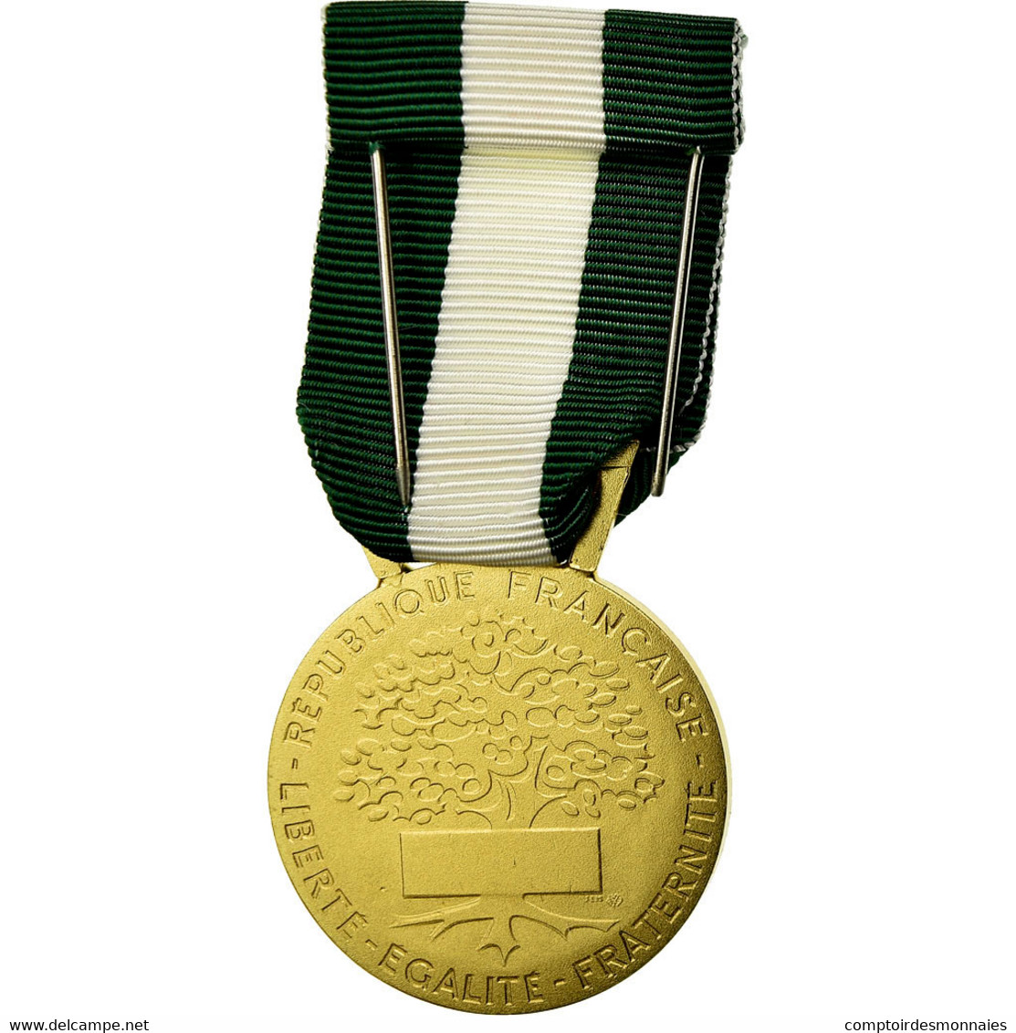 France, Médaille D'honneur Communale, Régionale Et Départementale, Médaille - Autres & Non Classés