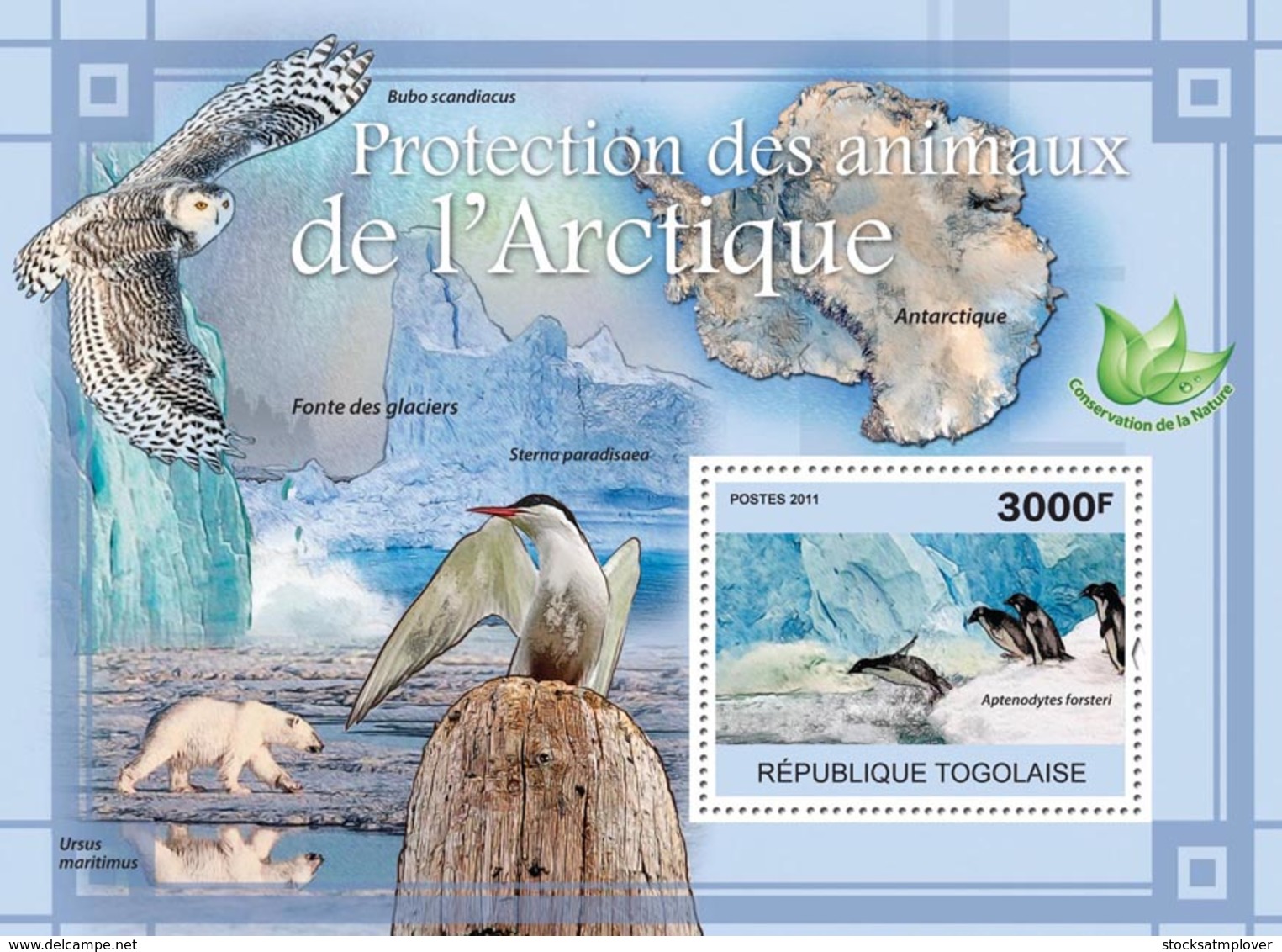 Togo  2011 Fauna  Protection Of Animals In Arctic.   Map Of  Antarctica ,penguin - Togo (1960-...)