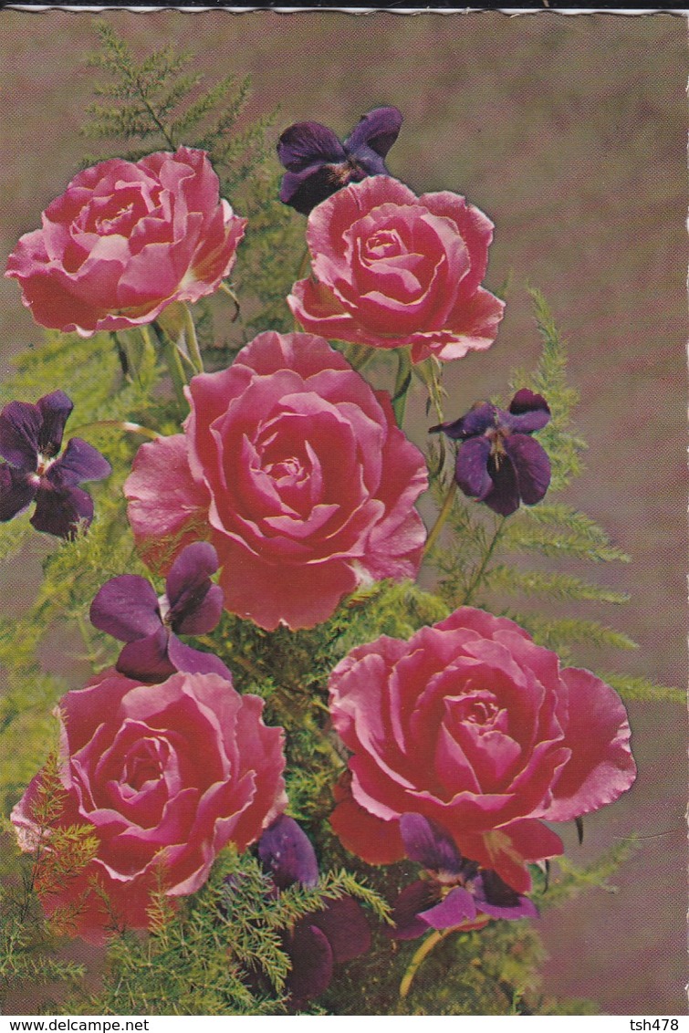 FLEURS---Bouquet De Roses + Violettes--voir 2 Scans - Autres & Non Classés