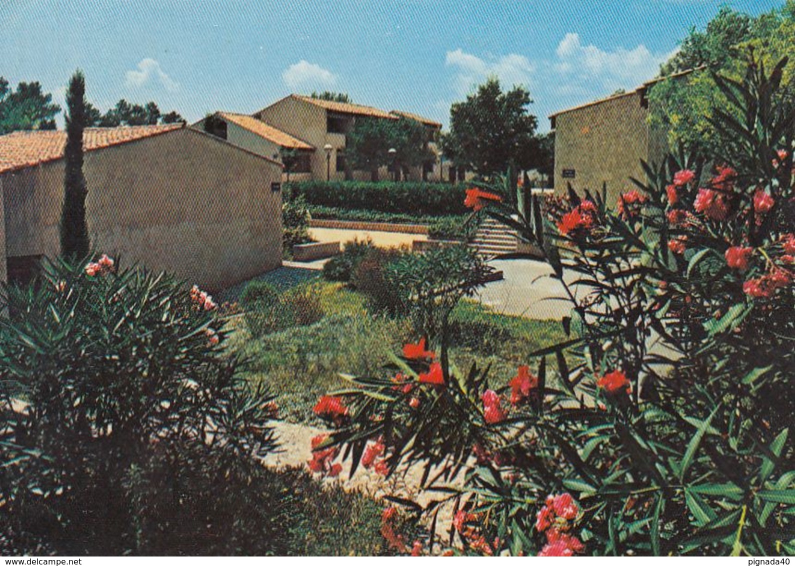 Cp , 06 , LA COLLE-sur-LOUP , Vue Des Bungalows Au Milieu Des Jardins - Autres & Non Classés