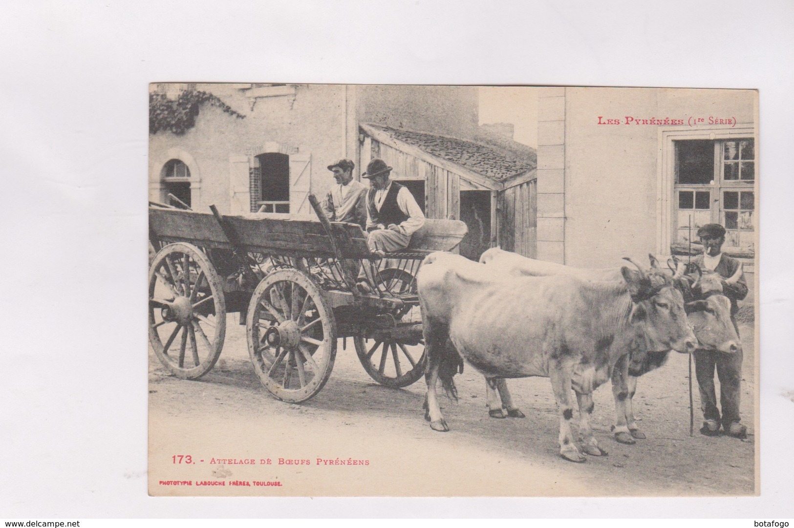 CPA ATTELAGE DE BOEUFS PYRENEENS,  En 1925! - Attelages