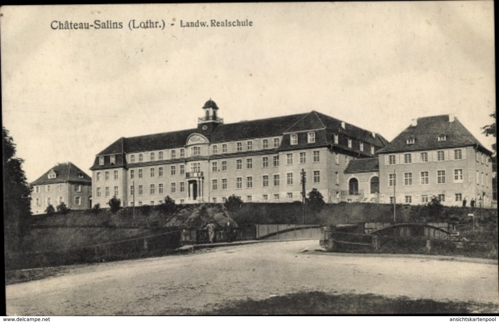Cp Chateau Salins Moselle, Landwirtschaftliche Realschule - Autres & Non Classés