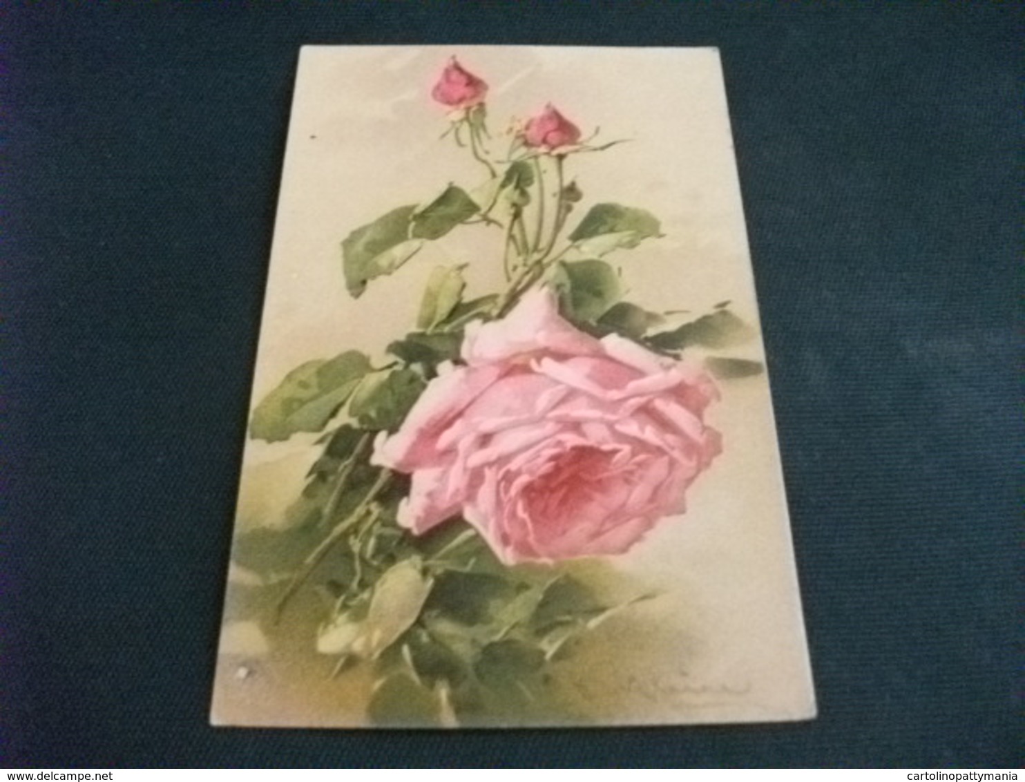 PICCOLO FORMATO ILLUSTRATORE CATHARINA  KLEIN FIORI PRIMO PIANO ROSA CON 2 BOCCIOLI - Klein, Catharina