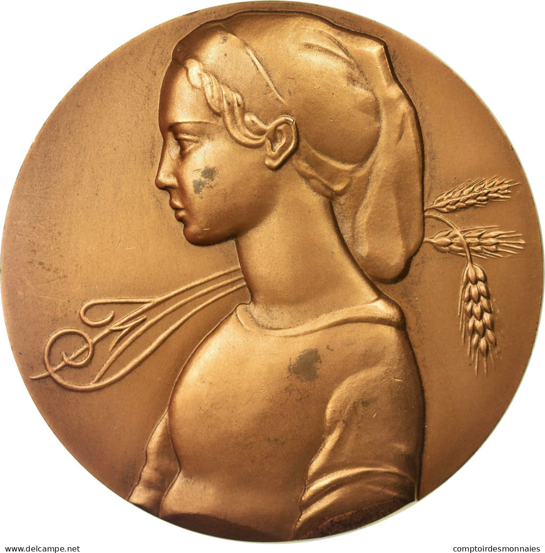 France, Médaille, Banque, Crédit Français, Simon, SUP, Bronze - Autres & Non Classés