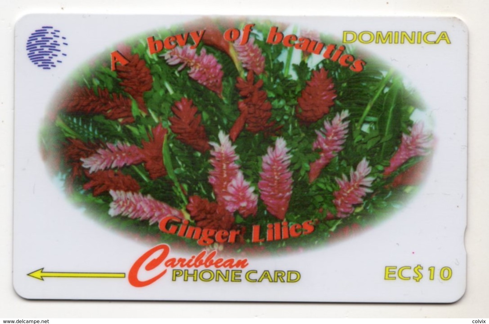 DOMINIQUE REF MV CARDS DOM-138A Année 1997 CN 138CDMA GINGER LILIES - Dominica