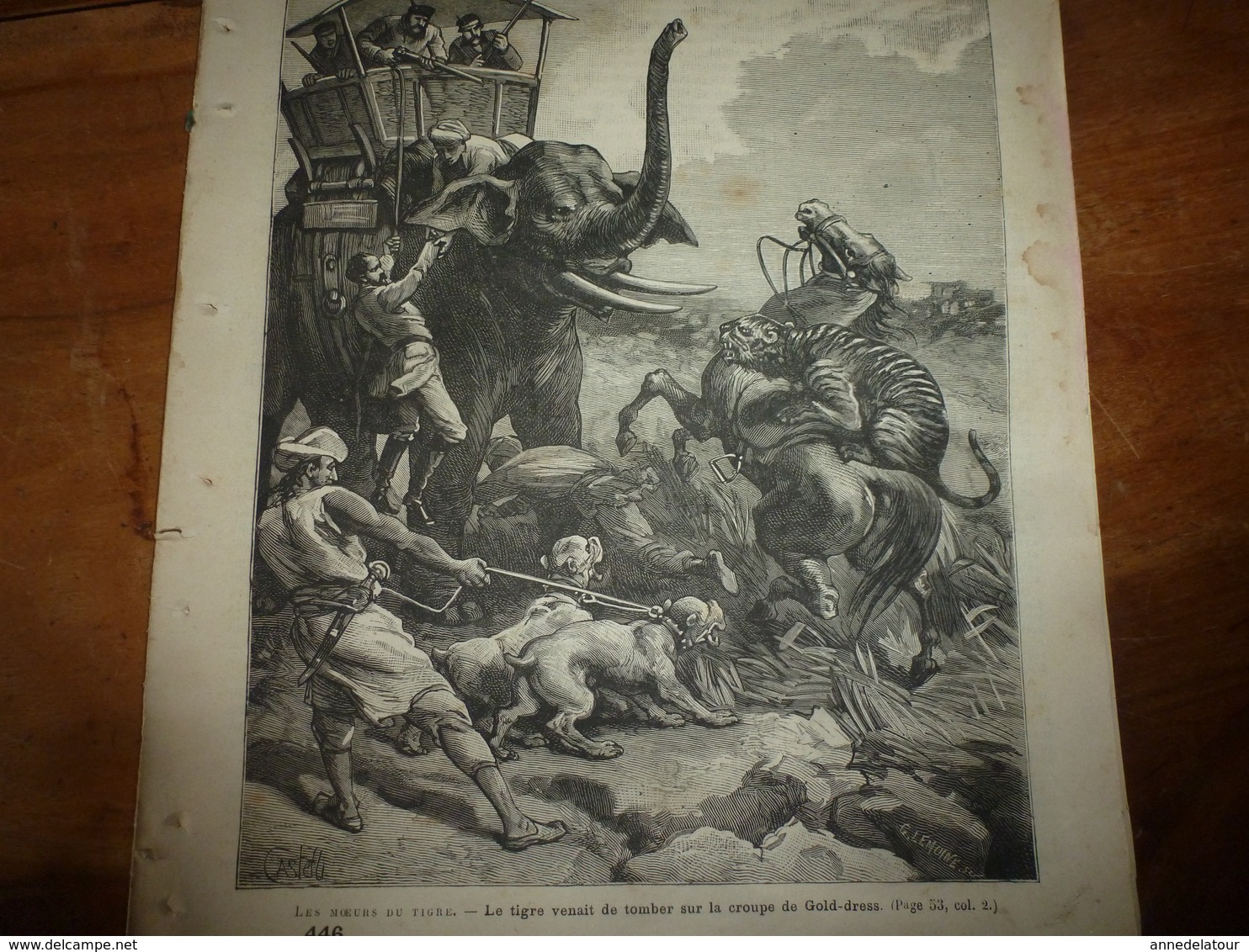 1886: La Gravure  De ----> CHASSE  Au TIGRE ; Etc - Collections