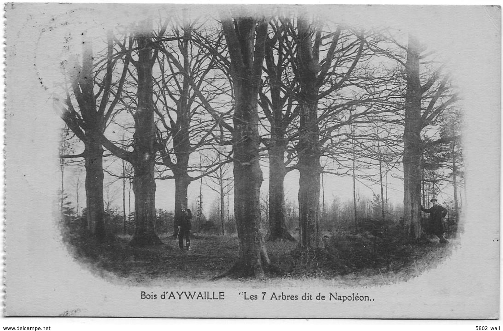 AYWAILLE : Les 7 Arbres De Napoléon (petite Animation) - Aywaille