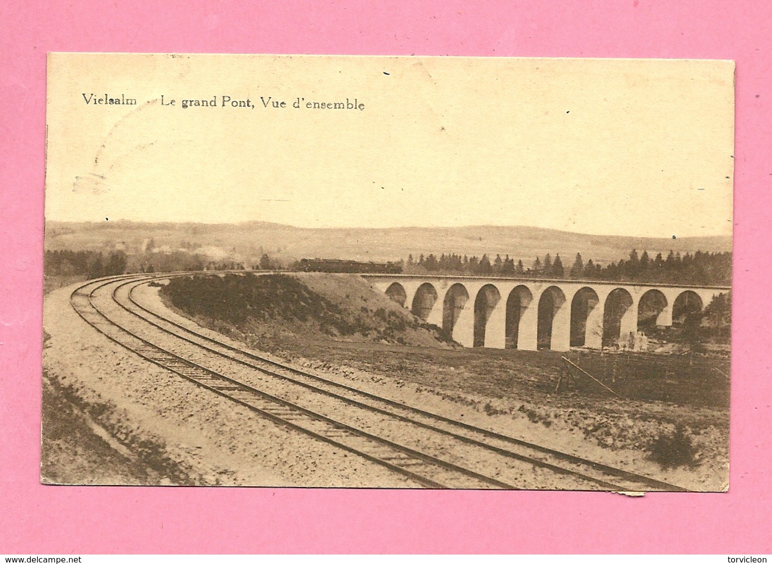 C.P. Vielsalm  =  Le  Grand Pont Chemin  De  Fer  :  Vue  D'ensemble - Vielsalm