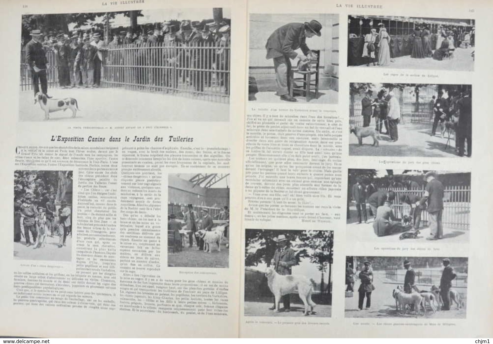 L'exposition Canine Dans Le Jardin Des Tuileries - Basset - Barso - Montagne Des Pyrénées - Page Originale Double 1901 - Documents Historiques