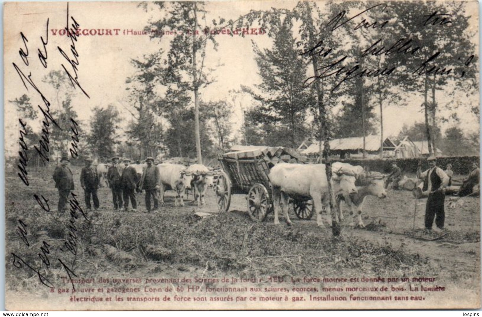 52 - VOUECOURT --  Forêt D'Heu - Sonstige & Ohne Zuordnung