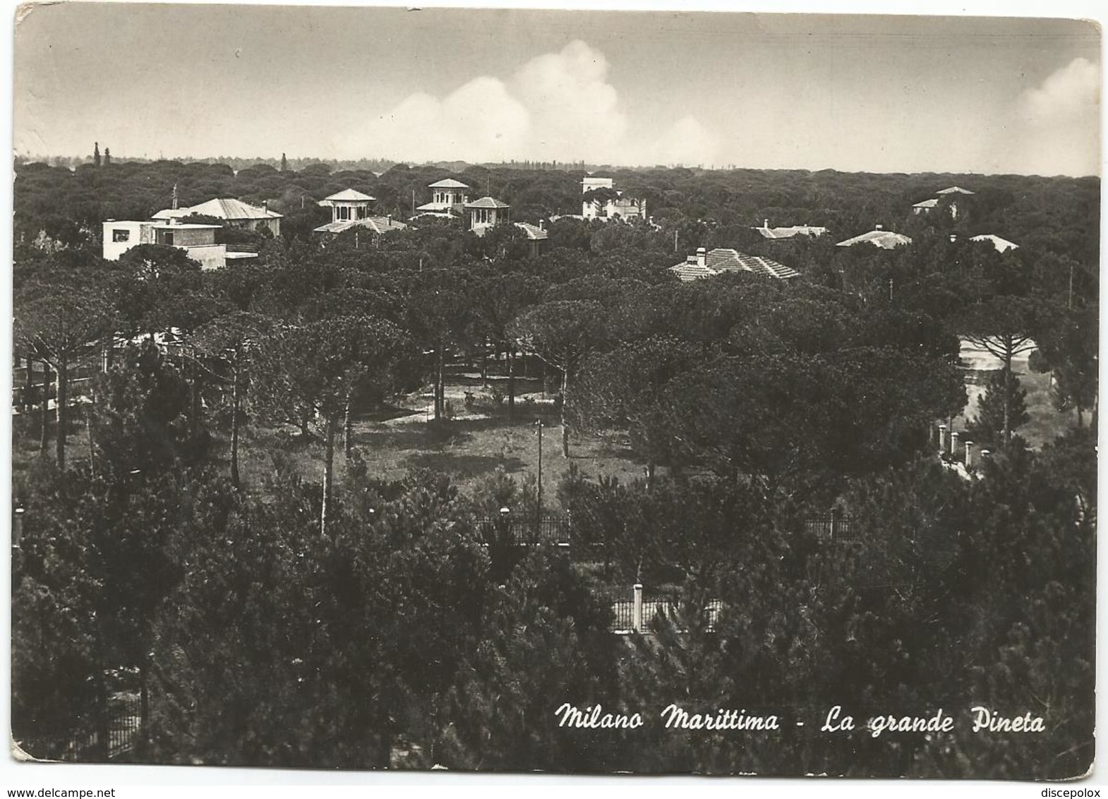 W1919 Cervia (Ravenna) - Milano Marittima - La Grande Pineta - Panorama / Non Viaggiata - Otros & Sin Clasificación