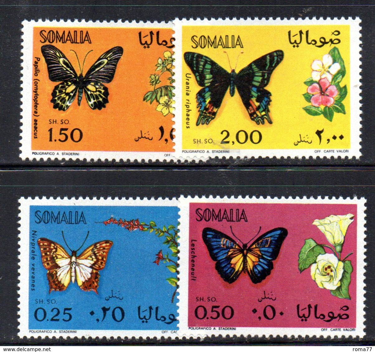 XP3259 - SOMALIA 1969 , Yvert N. 113/116  ***  Farfalle Papillon - Somalia (1960-...)