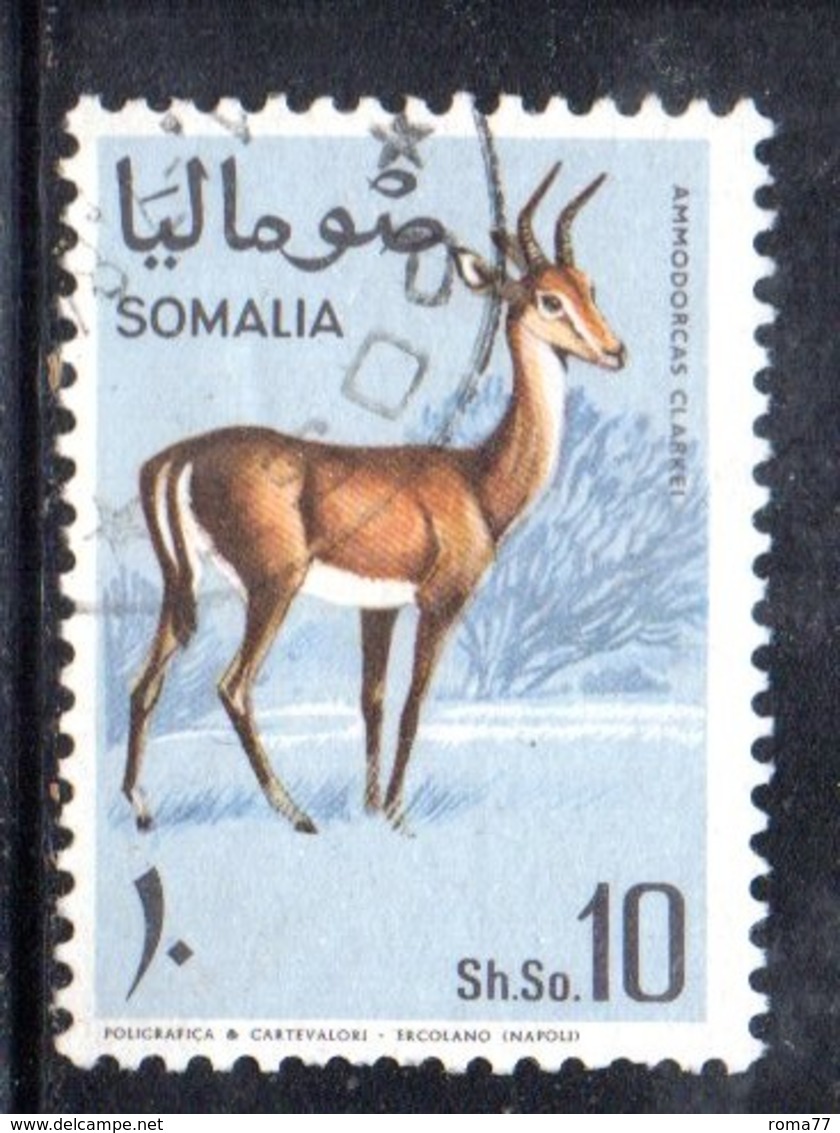 XP3483 - SOMALIA 1968 , Yvert N. 95  Usato . Fauna - Somalia (1960-...)