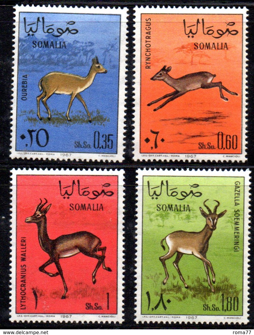 XP3792 - SOMALIA 1967 ,  Yvert N. 62/65 ***  MNH  Gazelle - Somalia (1960-...)
