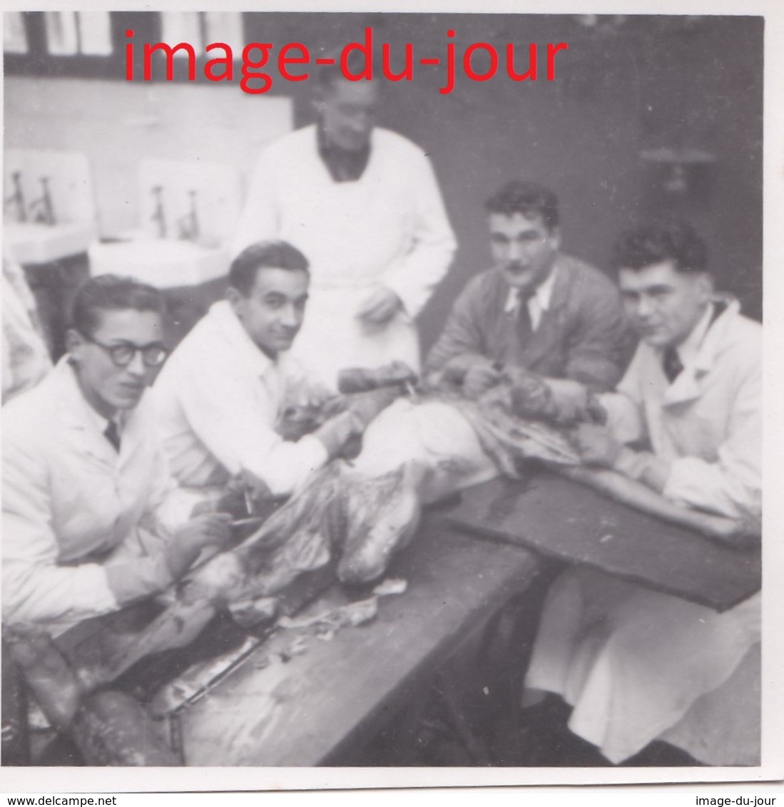 Photo Ancienne école étudiants Médecine Médecins Dissection D'un Corps Humain  ( Post Mortem ) Mort - Personnes Anonymes