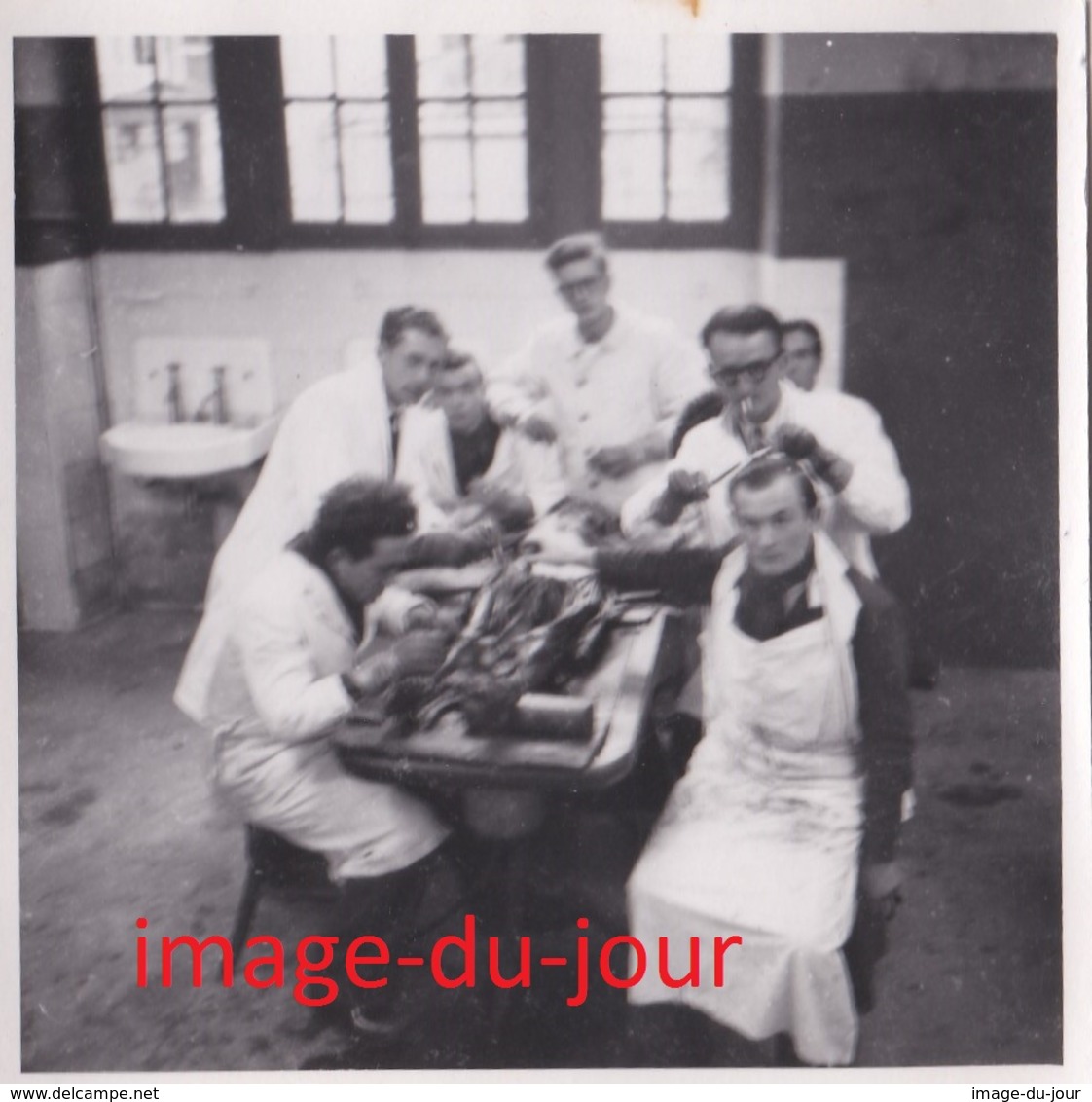 Photo Ancienne école étudiants Médecine Médecins Dissection D'un Corps Humain  ( Post Mortem ) Mort - Personnes Anonymes