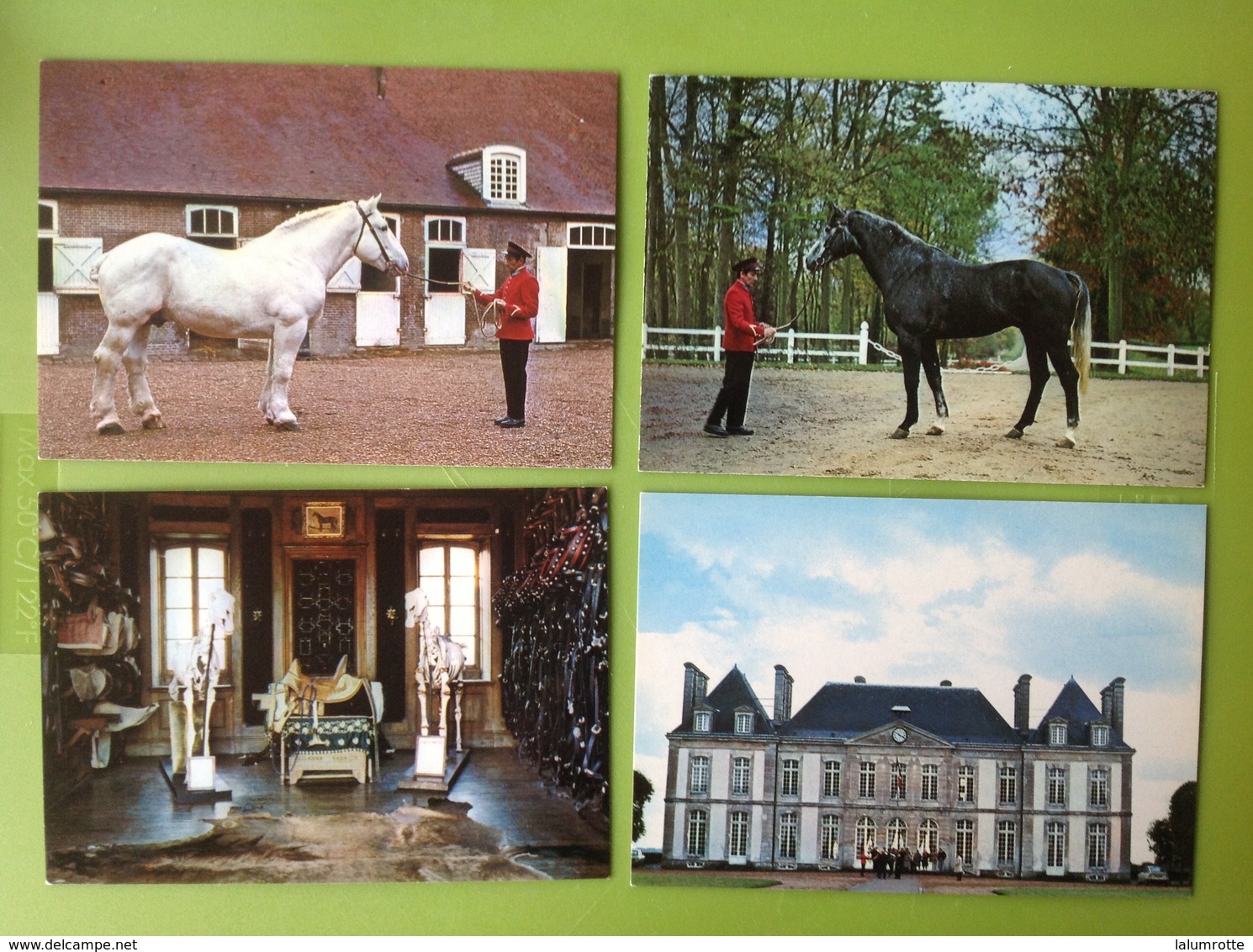 CP. 2380. Douze Cartes Postales Du Haras Du Pin A Exmes - Exmes