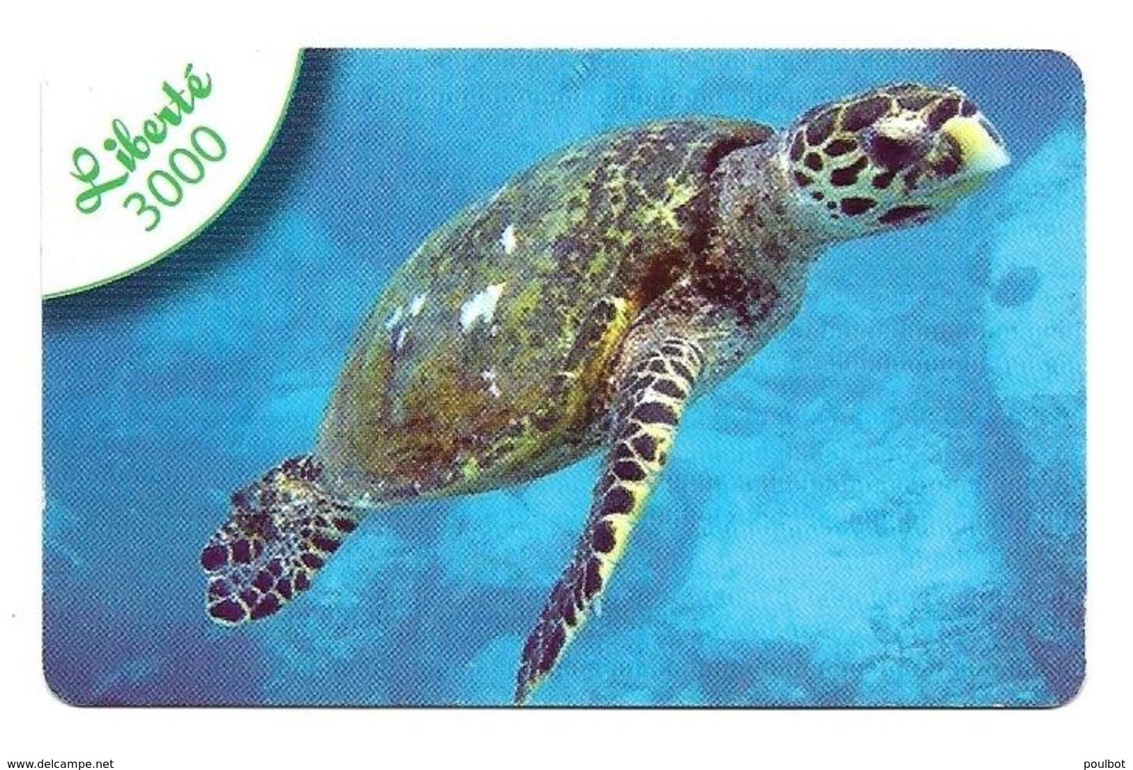 OPT Nouvelle Calédonie Liberté 3000 Tortue - Autres & Non Classés