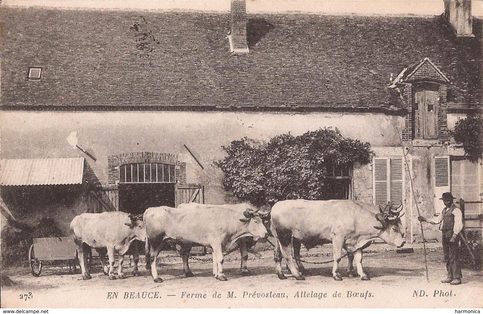 273 EN BEAUCE FERME PREVOSTEAU ATTELAGE BOEUFS (SOURS) - CORRESPONDANCE MILITAIRE - Autres & Non Classés