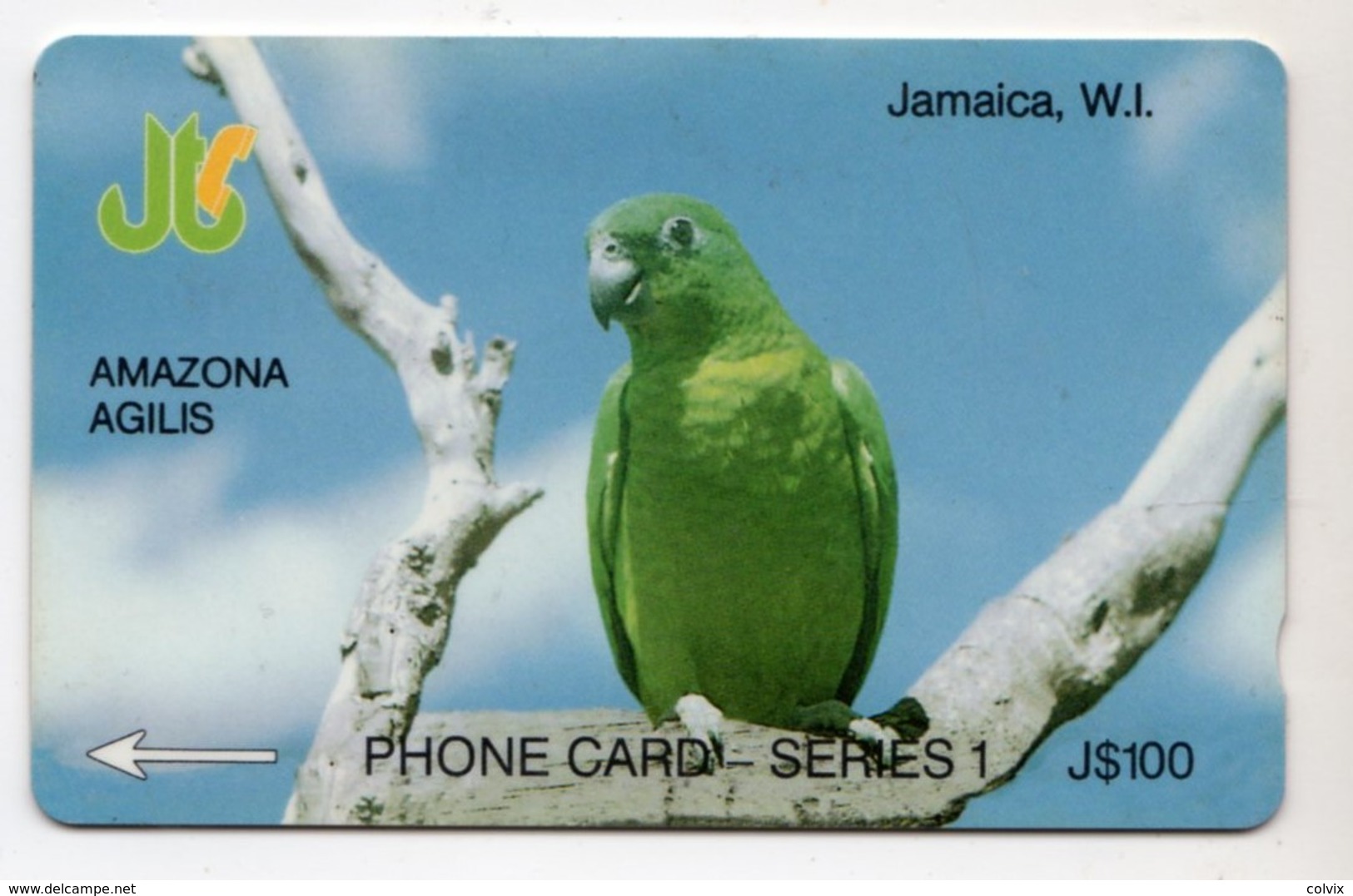 JAMAIQUE REF MV CARDS JAM-13D 100$ Annee 1993 CN : 13JAMD Amazona Agilis - Giamaica