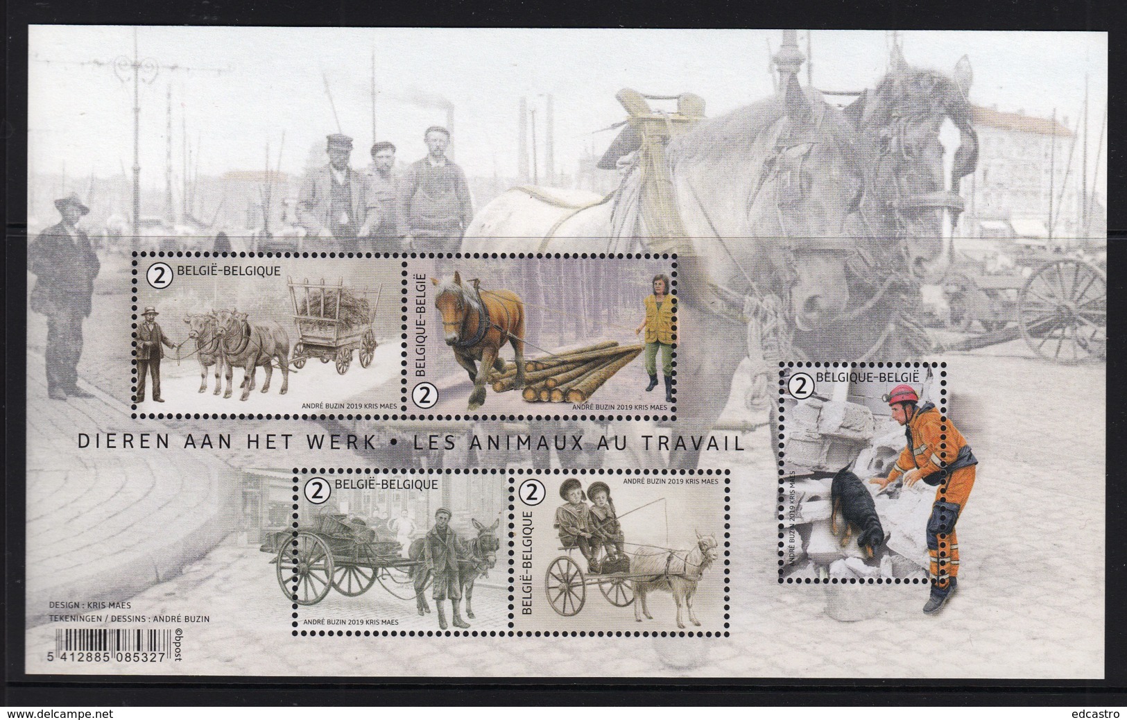 1.- BELGIE BELGIQUE BELGIUM 2019 ANIMALS AT WORK - Unused Stamps
