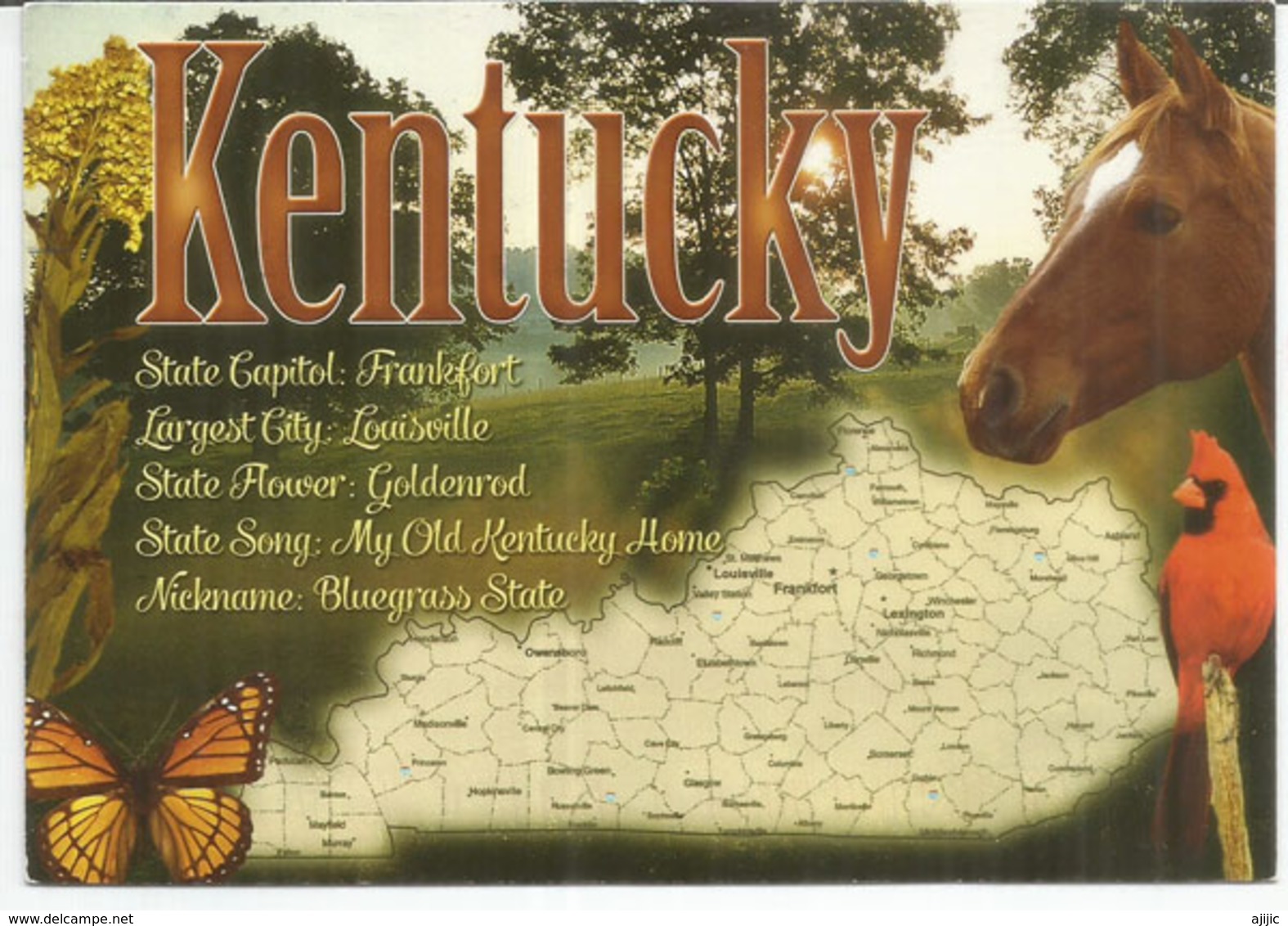 Map Of Kentucky State, (The Kentucky Derby,horse Race State),  Postcard Sent To Andorra, With Arrival Postmark - Cartes Géographiques