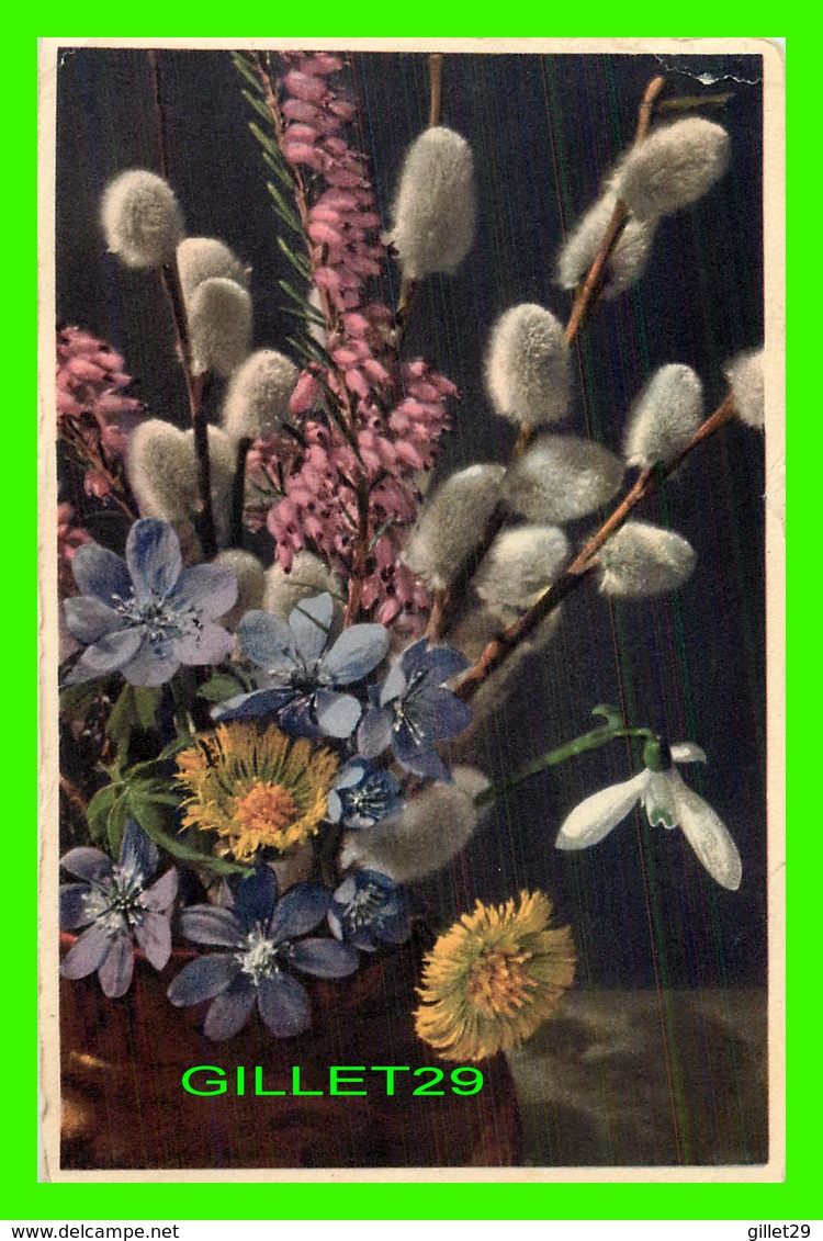 FLOWERS, FLEURS - FRUHLINGSBLUMEN - BELLE FLEURS PRINTANIÈRES - TRAVEL IN 1958 - - Fleurs