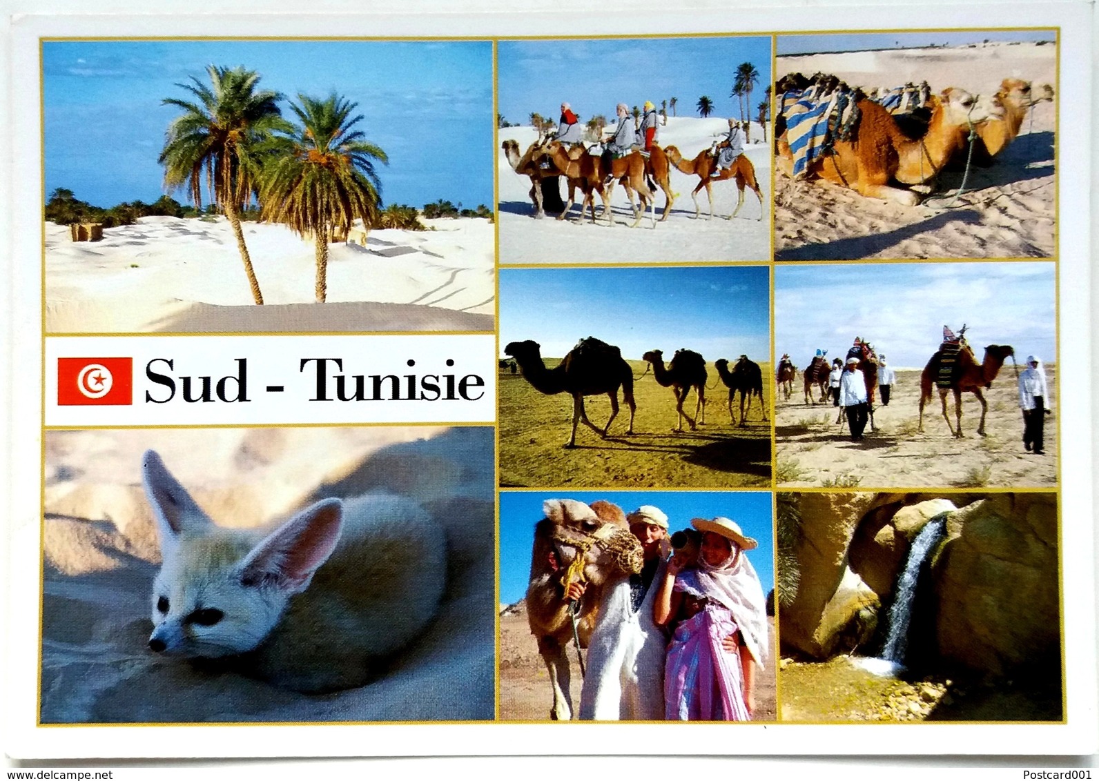 #730   Views Of The Sahara Desert, Fox, Camellars - TUNISIA, North Africa - Postcard - Autres & Non Classés