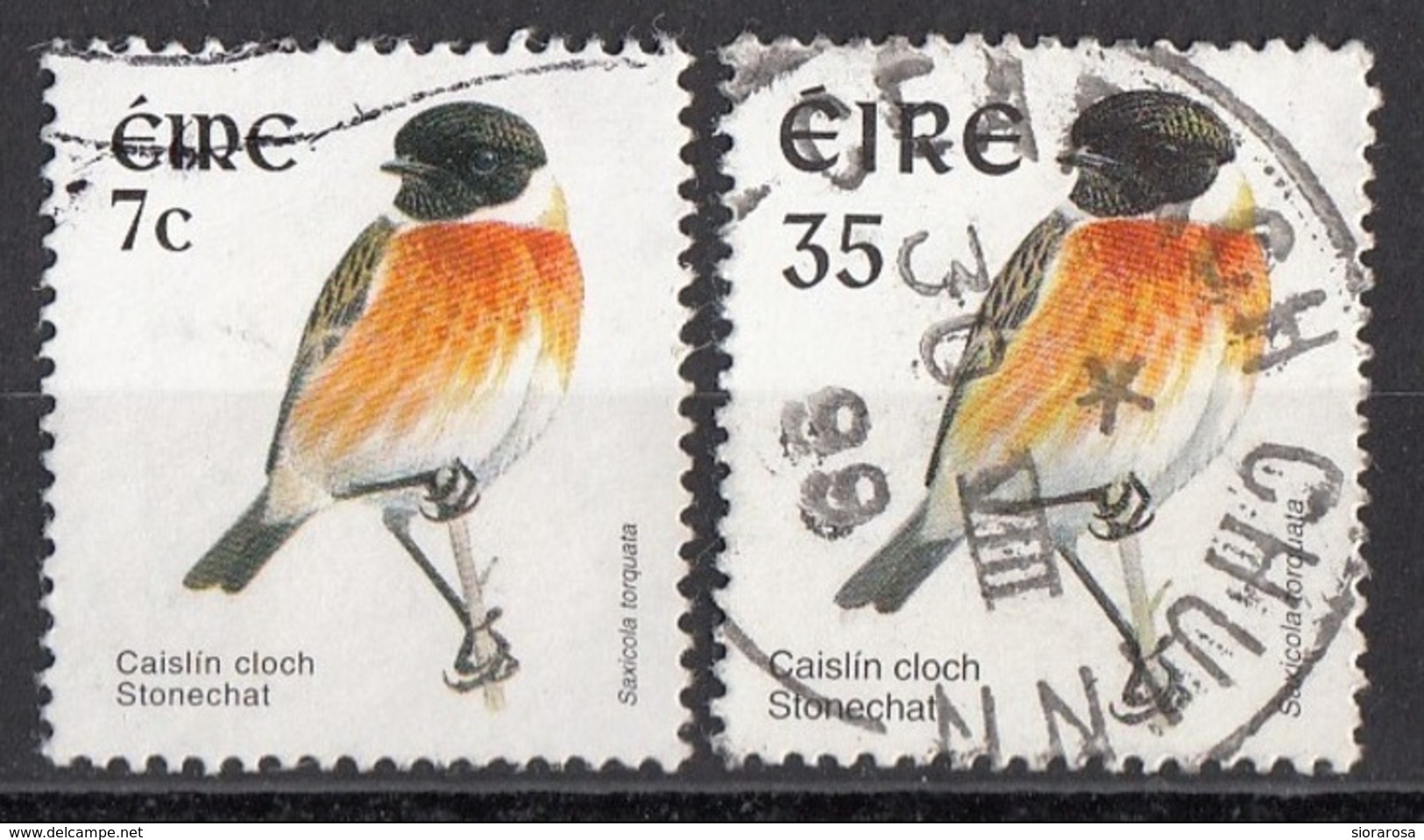 1107 Irlanda 1998-2003 Birds Uccelli Stonechat  Saxicola Rubicola Saltimpalo Eire Ireland Used - Usati