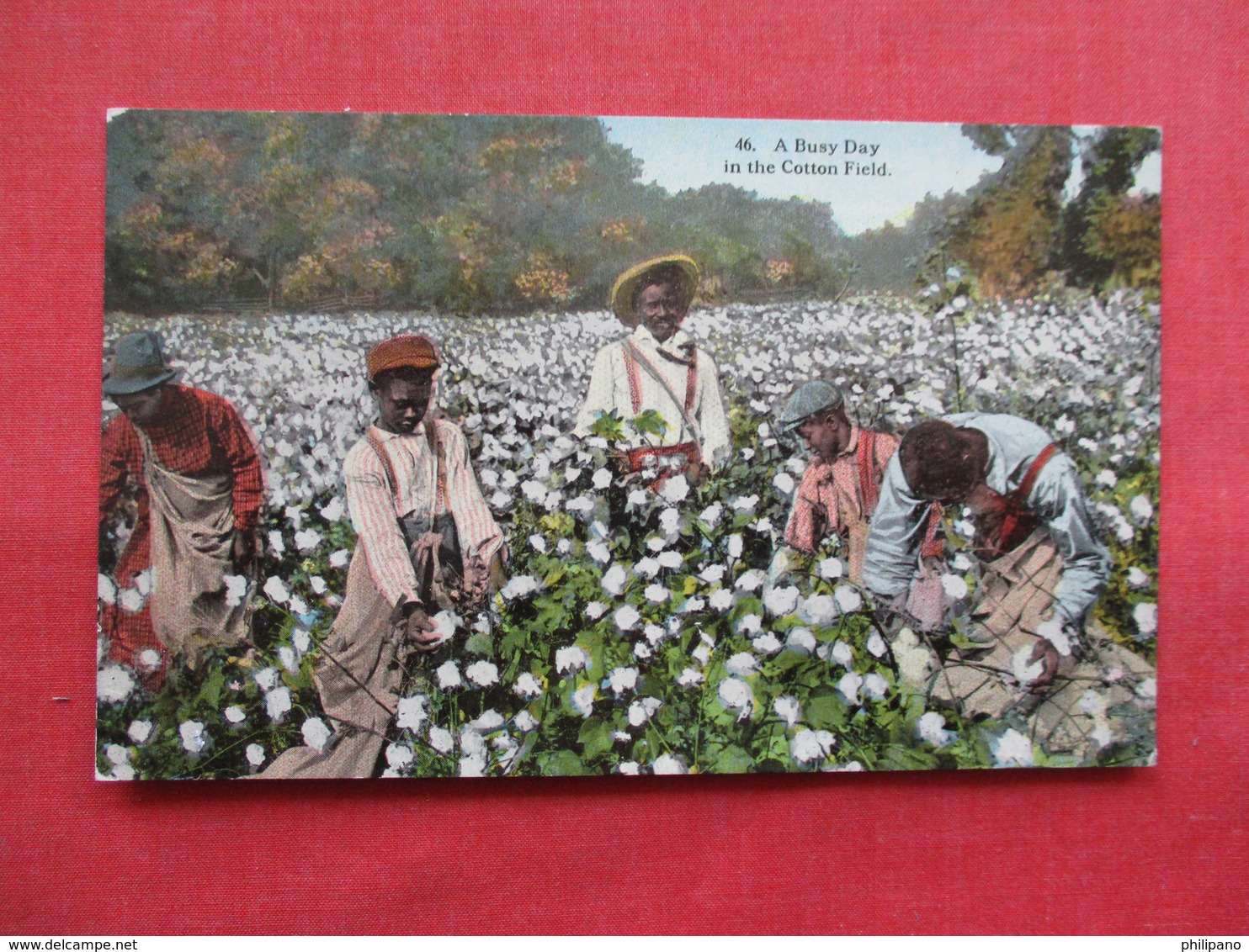 Black Americana  Busy Day In Cotton Field     Ref 3218 - Black Americana