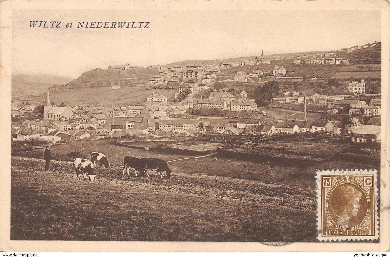 10186 - Luxembourg - Wiltz Et Niederwiltz - Autres & Non Classés