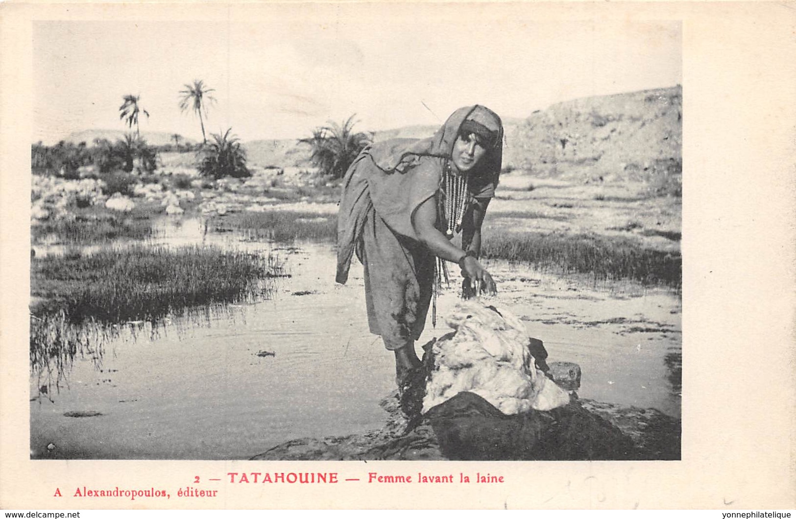 Algérie / 10385 - Tatahouine - Femme Lavant La Laine - Autres & Non Classés