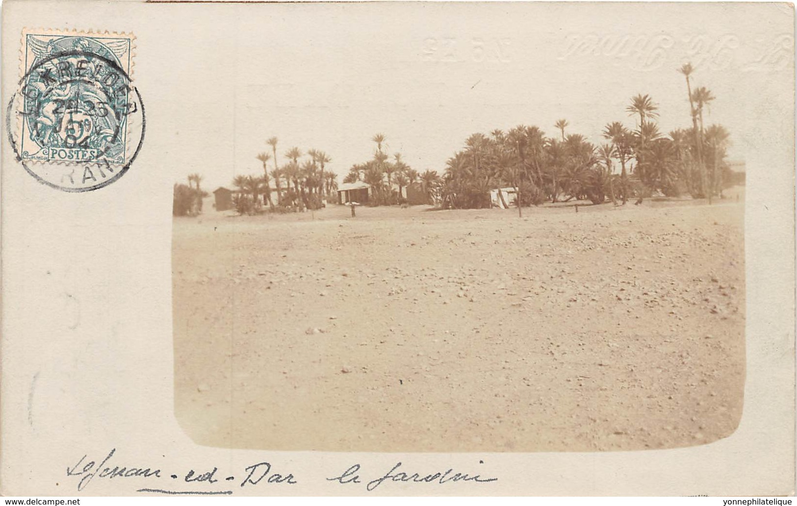 Algérie / 10404 - Belle Carte Photo - Autres & Non Classés