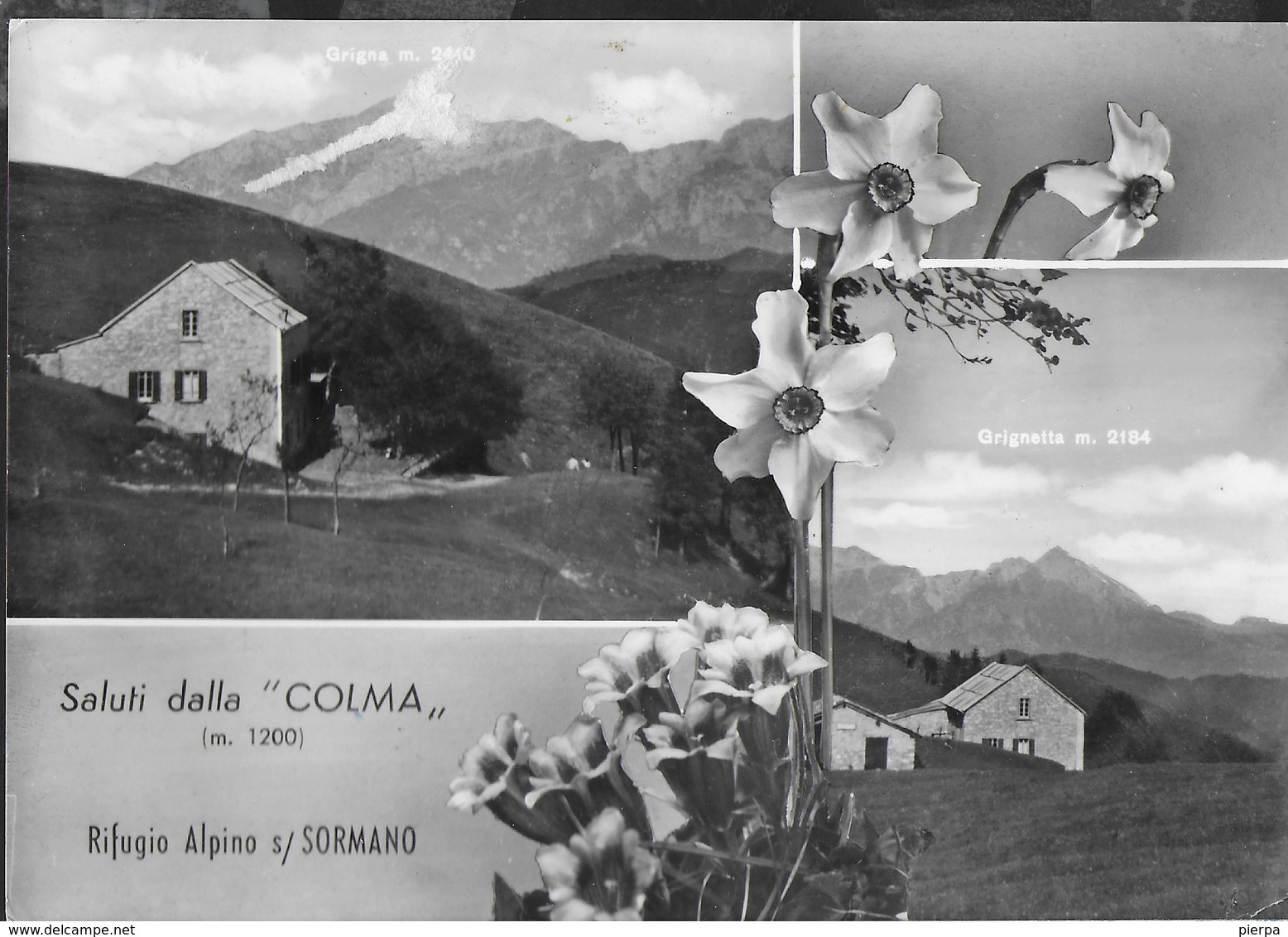 SALUTI DALLA COLMA - RIFUGIO ALPINO S/SORMANO - TIMBRO DEL RIFUGIO - VIAGGIATA 1961 FRANCOBOLLO ASPORTATO - Saluti Da.../ Gruss Aus...