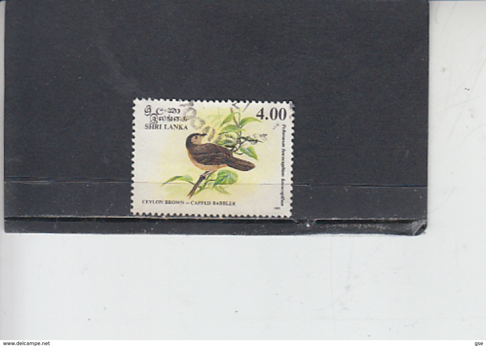 SRI LANKA  1993 - Yvert  1027 - Uccello - Sri Lanka (Ceylon) (1948-...)