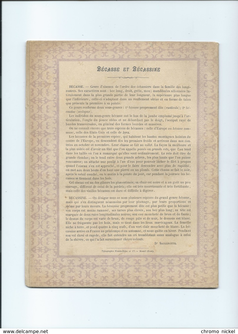 Bécasse Et Bécassine Cahier Complet Couverture Protège-cahier +/- 1900 3 Scans - Protège-cahiers