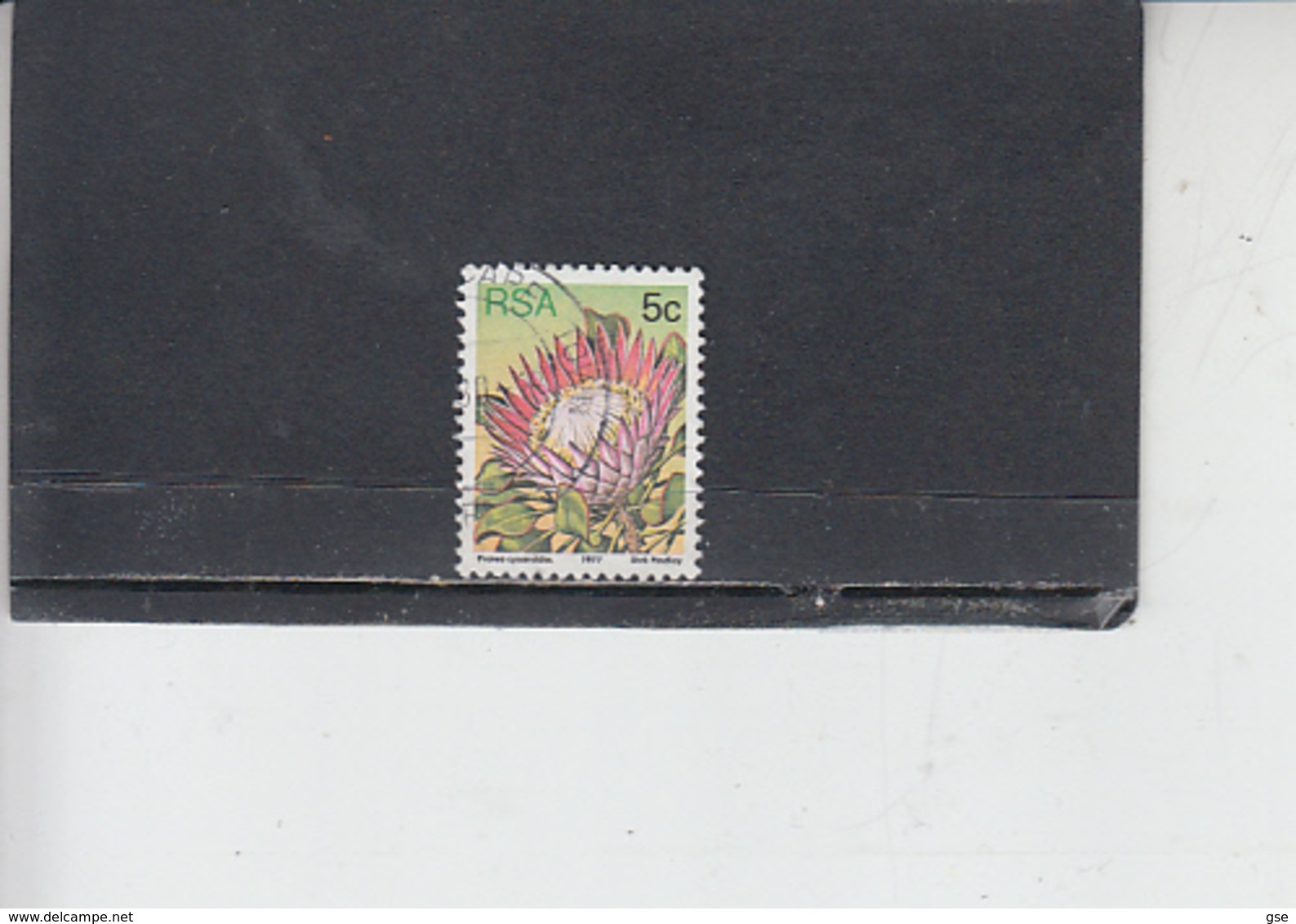 SUD AFRICA 1977 - Yvert  420 - Fiori - Usati