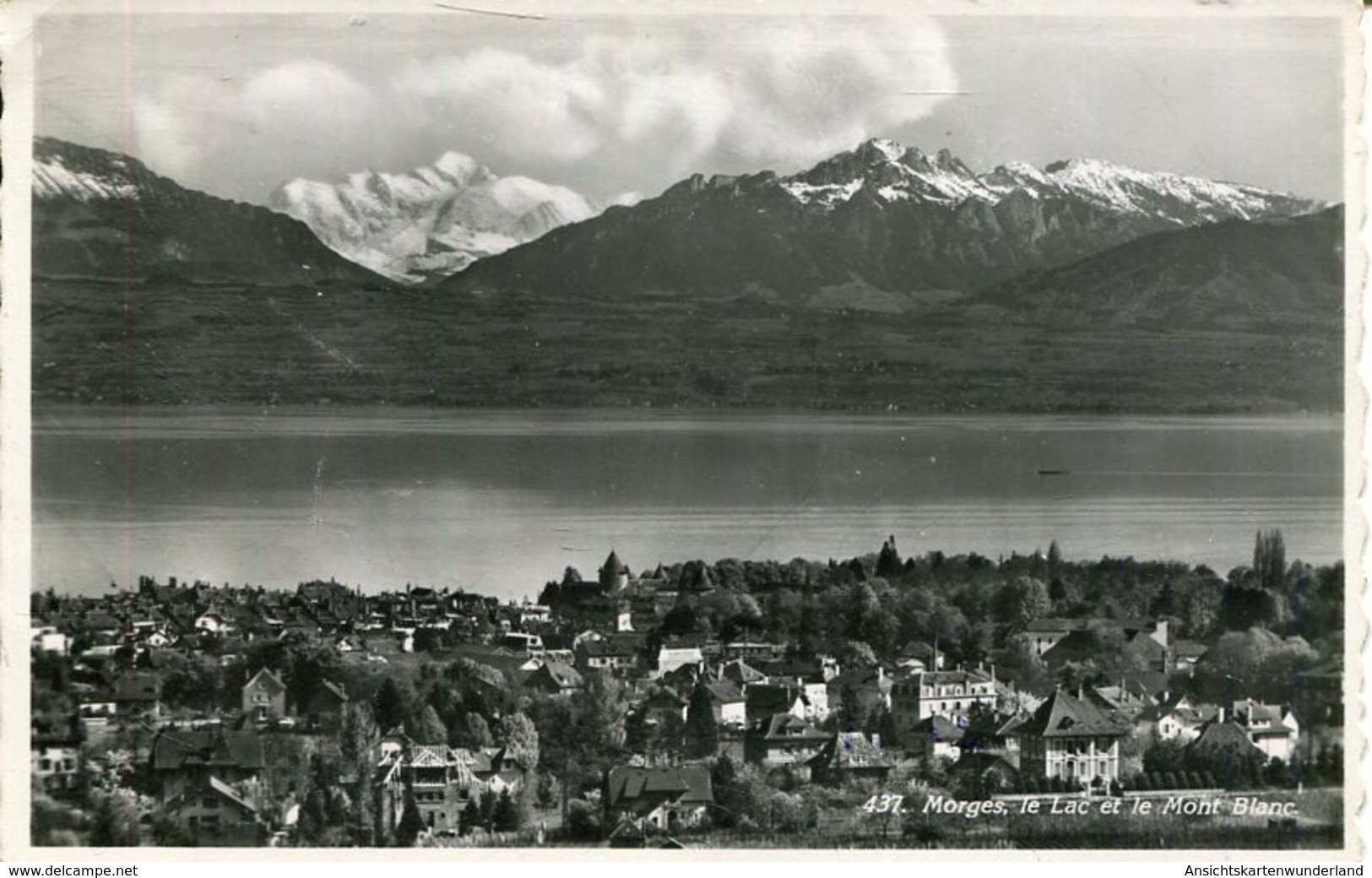 007193  Morges - Le Lac Et Le Mont Blanc  1965 - Morges