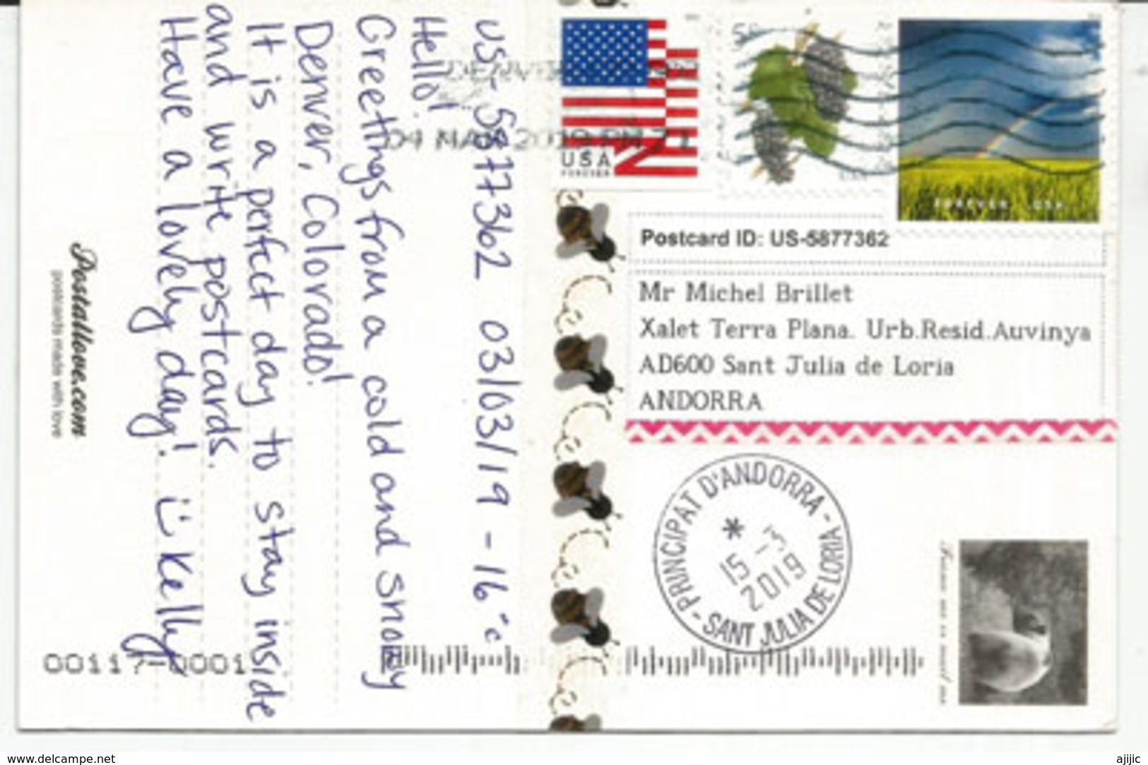 Ours Grizzly Américain, Carte Postale USA Envoyée Andorra, Avec Timbre à Date Arrivée. Deux Photos - Ours