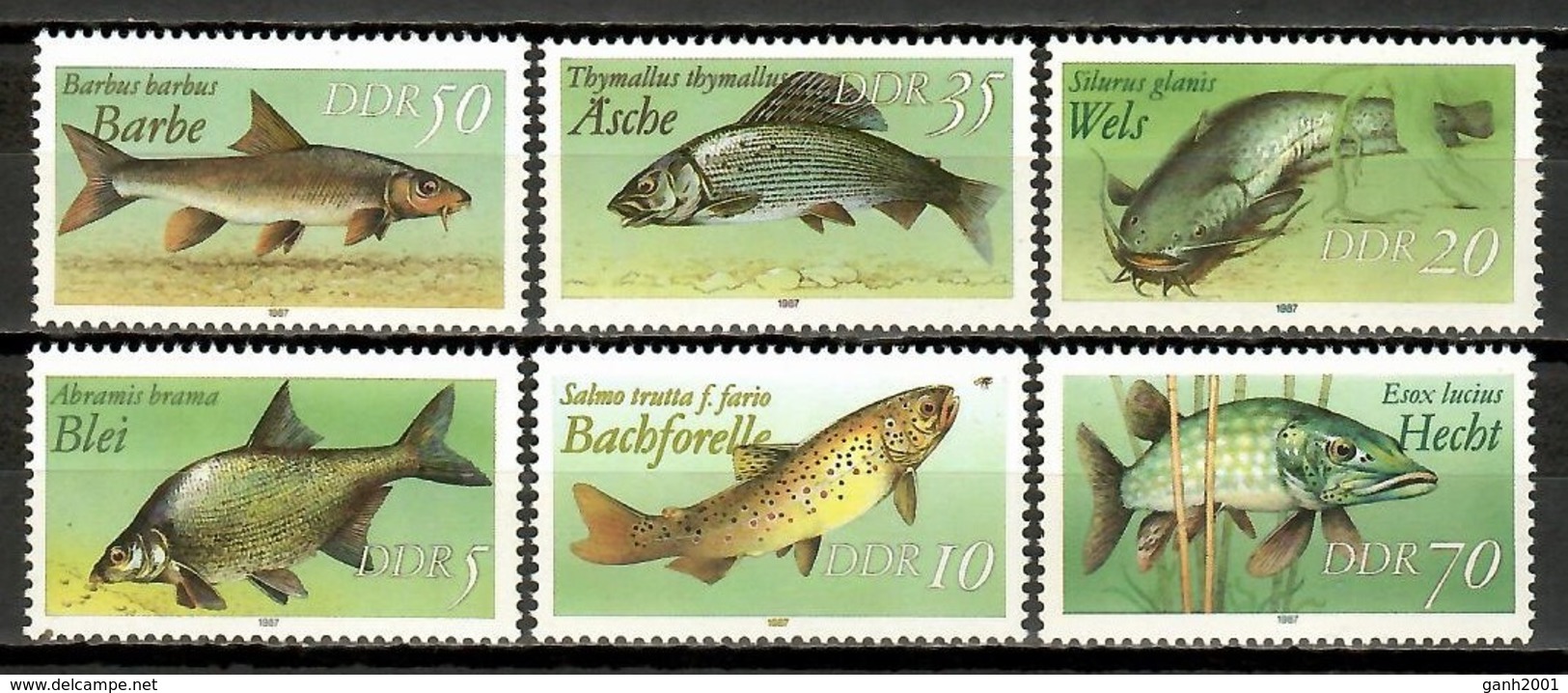 Germany 1987 DDR  / Fish Fishes MNH Peces Poissons Fische / Cu12013  36 - Peces