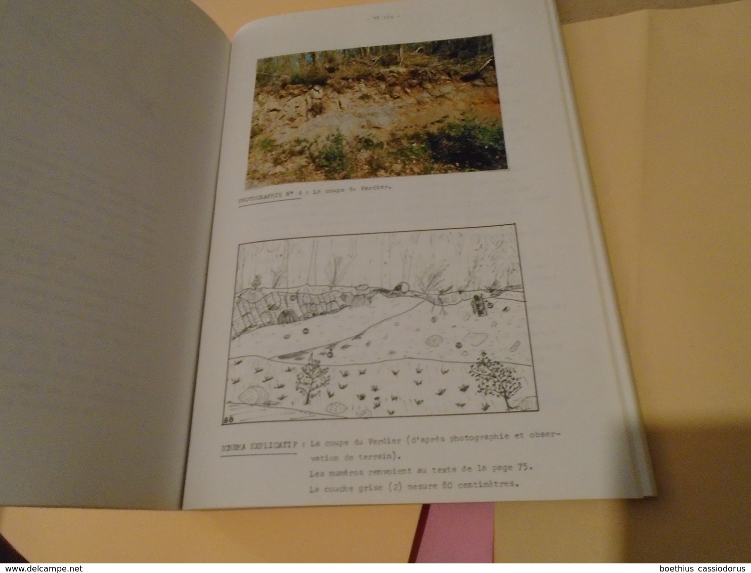 LES EDIFICES VOLCANIQUES  DE LA REGION DE BORT LES ORGUES  ETUDE GEOMORPHOLOGIQUE  1985 BERNARD BASSET - Limousin