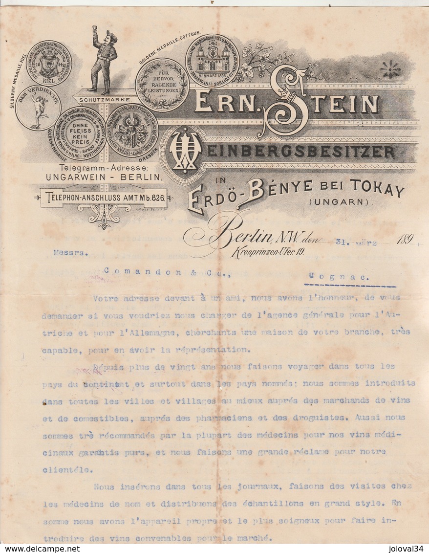 Allemagne Lettre Illustrée 31/3/1896 Ern STEIN Weinbergsbesitzer In Erdö Bénye Bei Tokay BERLIN - 1800 – 1899