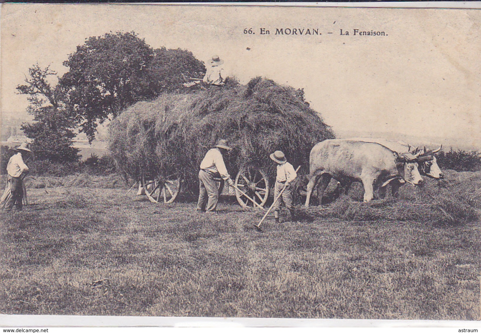 Cpa -agri-camp-travaux Champetres-animée-la Fenaison-edi Caius N°66 - Cultures