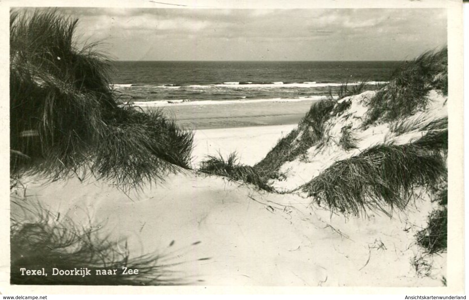 007226  Texel - Doorkijk Naar Zee - Sonstige & Ohne Zuordnung