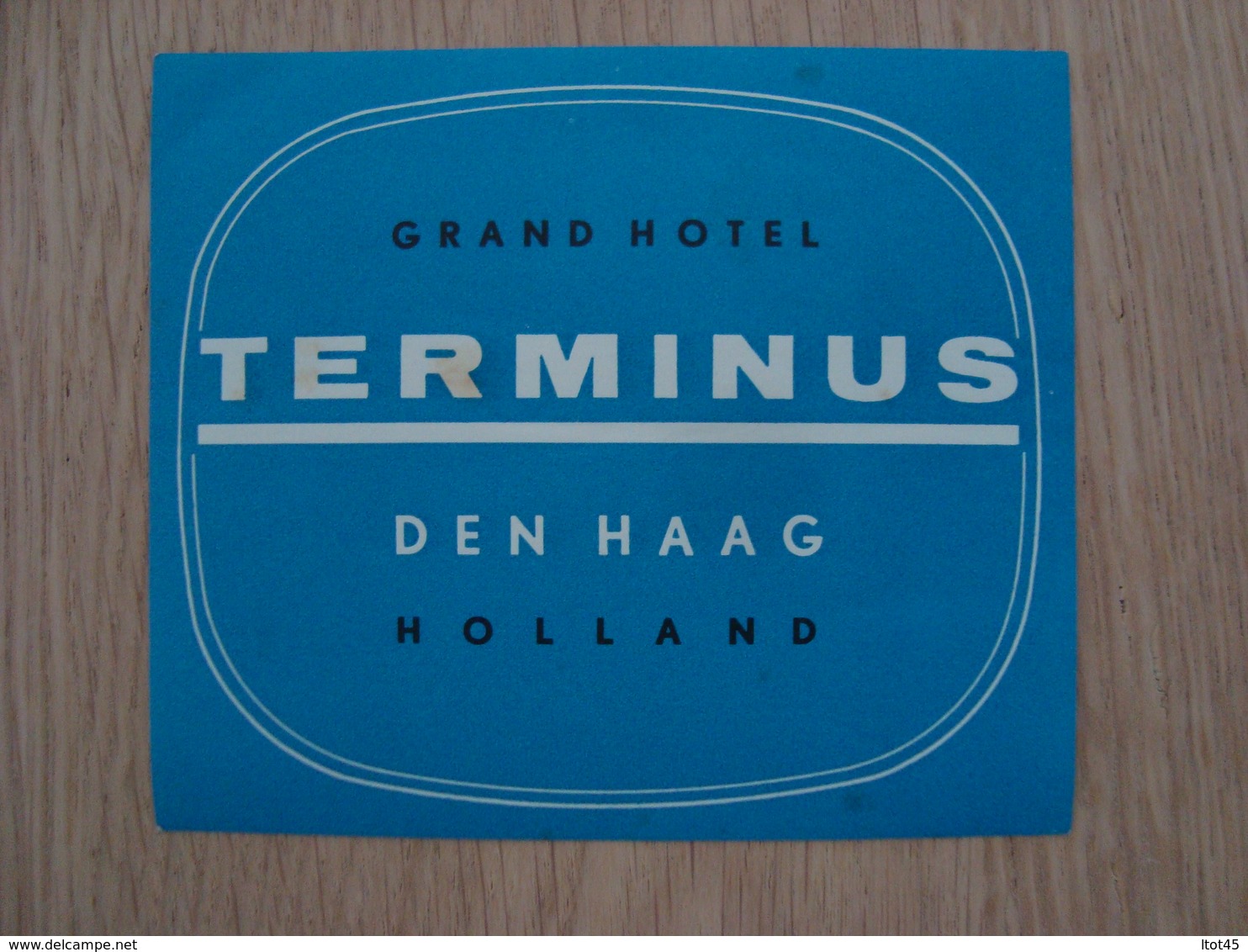 ETIQUETTE D'HOTEL TERMINUS DEN HAAG HOLLAND - Etiketten Van Hotels